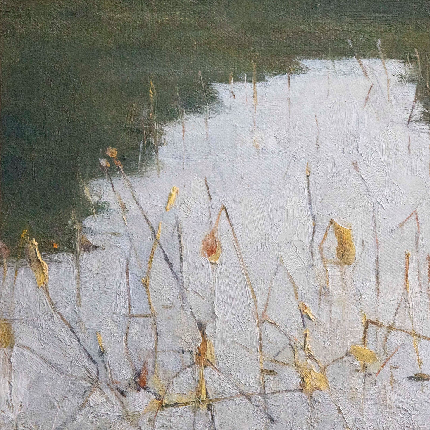 dried-lotus-texture-oil-painting