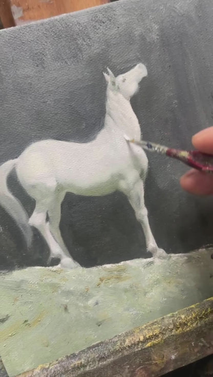 White Horse Painting – Original Horse Oil Painting
